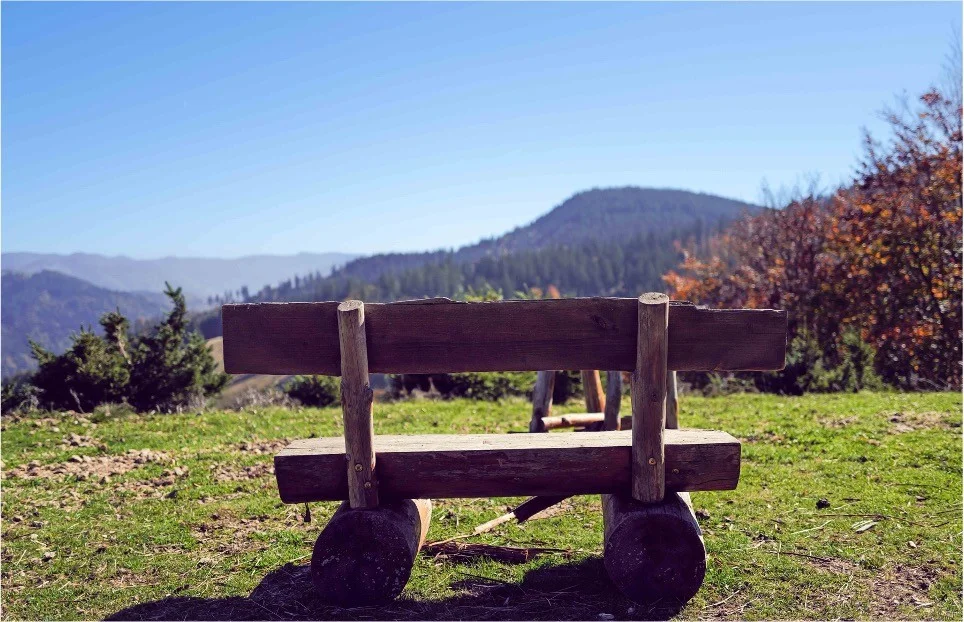 Klarheit & Selbstfürsorge in allen Lebenslagen - Erlebe Yoga, Achtsamkeit und die Natur des Schwarzwaldes Bild 2