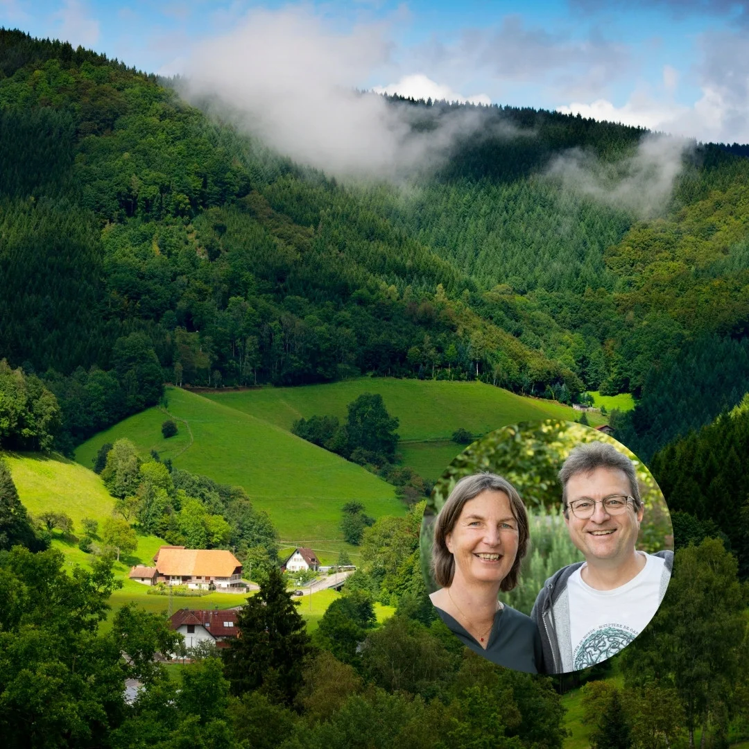 Neustart ohne Kündigung - Der Impact Retreat - Fünf Tage für Berufstätige an einem Wendepunkt Bild 1