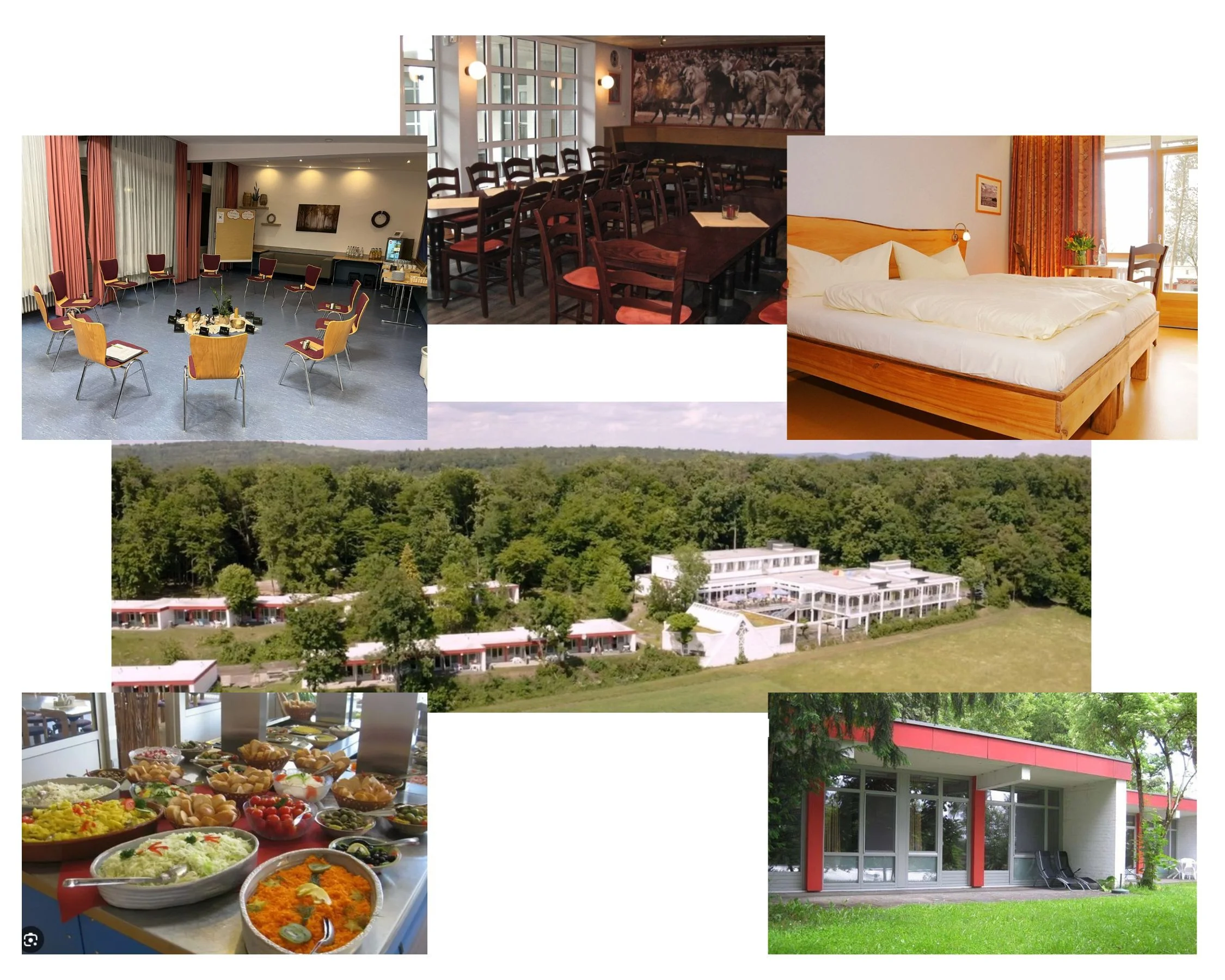 Waldbaden (Shinrin Yoku) - Der Wald als Therapeut! (Herbstein) Bild 1