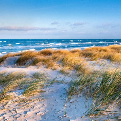Bildungsurlaub an der Ostsee: Stressbewältigung durch Achtsamkeit im Berufsalltag nach der Methode „Mindfulness Based Stress Reduction” (MBSR) Bild 1