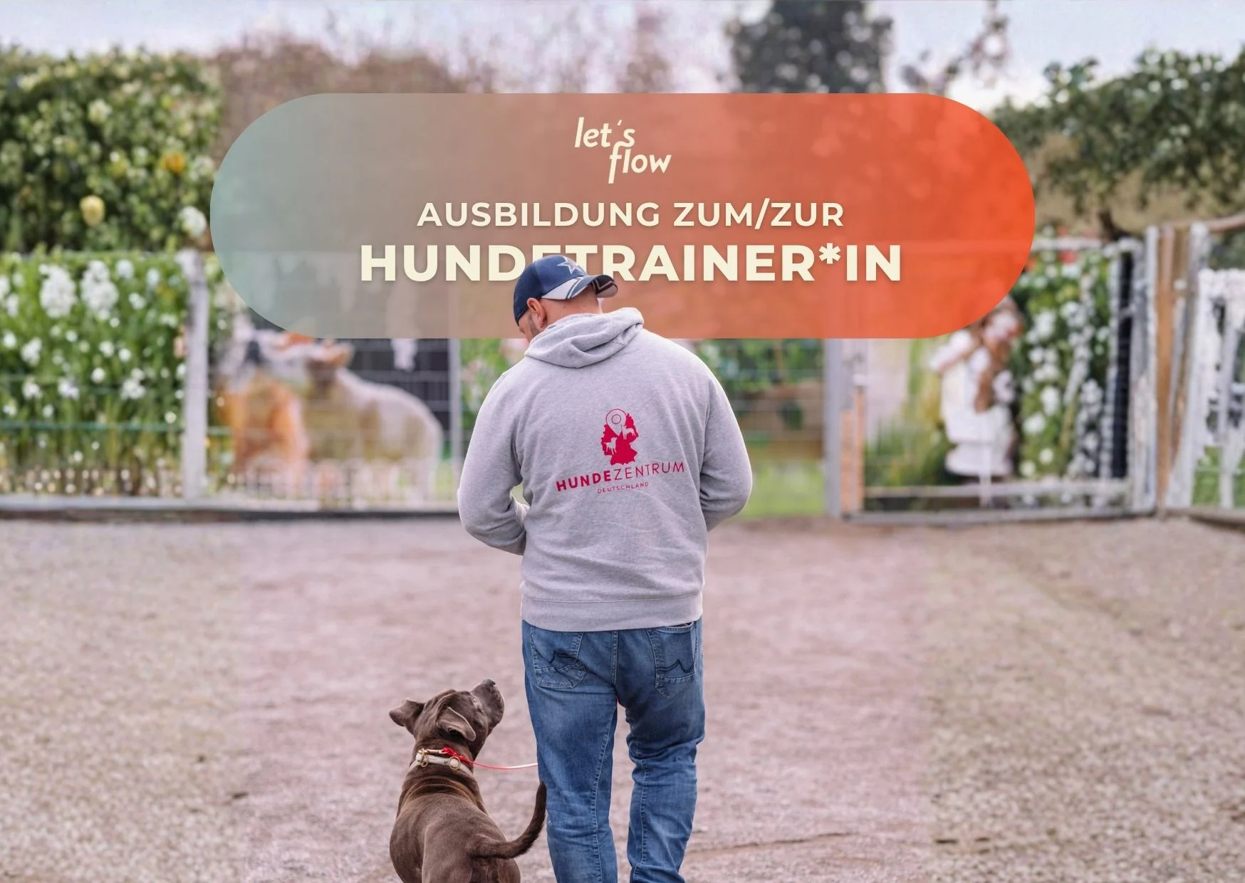 Ausbildung zum/ zur Hundetrainer*in mit Let's Flow Bild 1