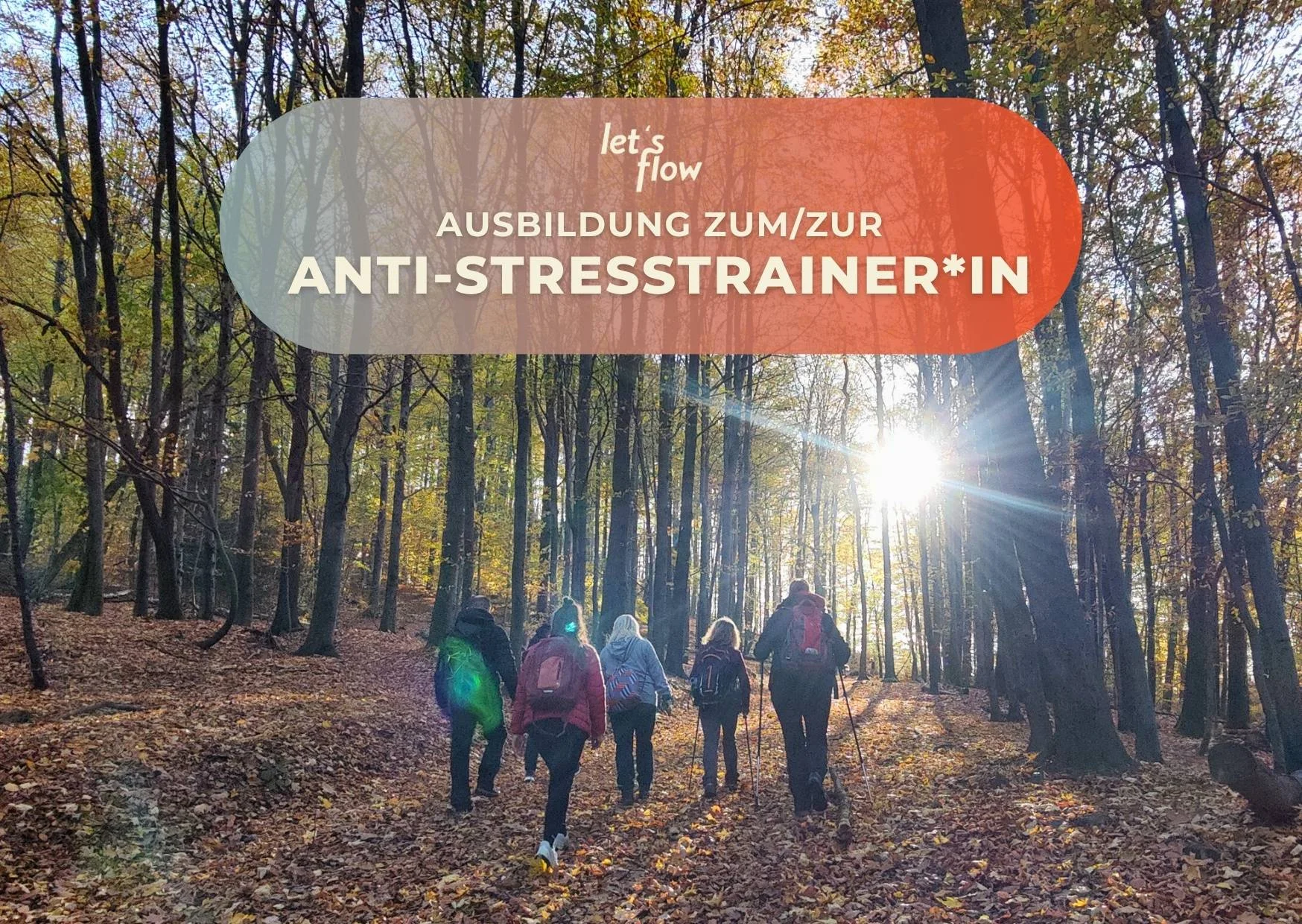 Wandern und Antistresstrainer*in werden in Bayerisch Eisenstein Bild 1