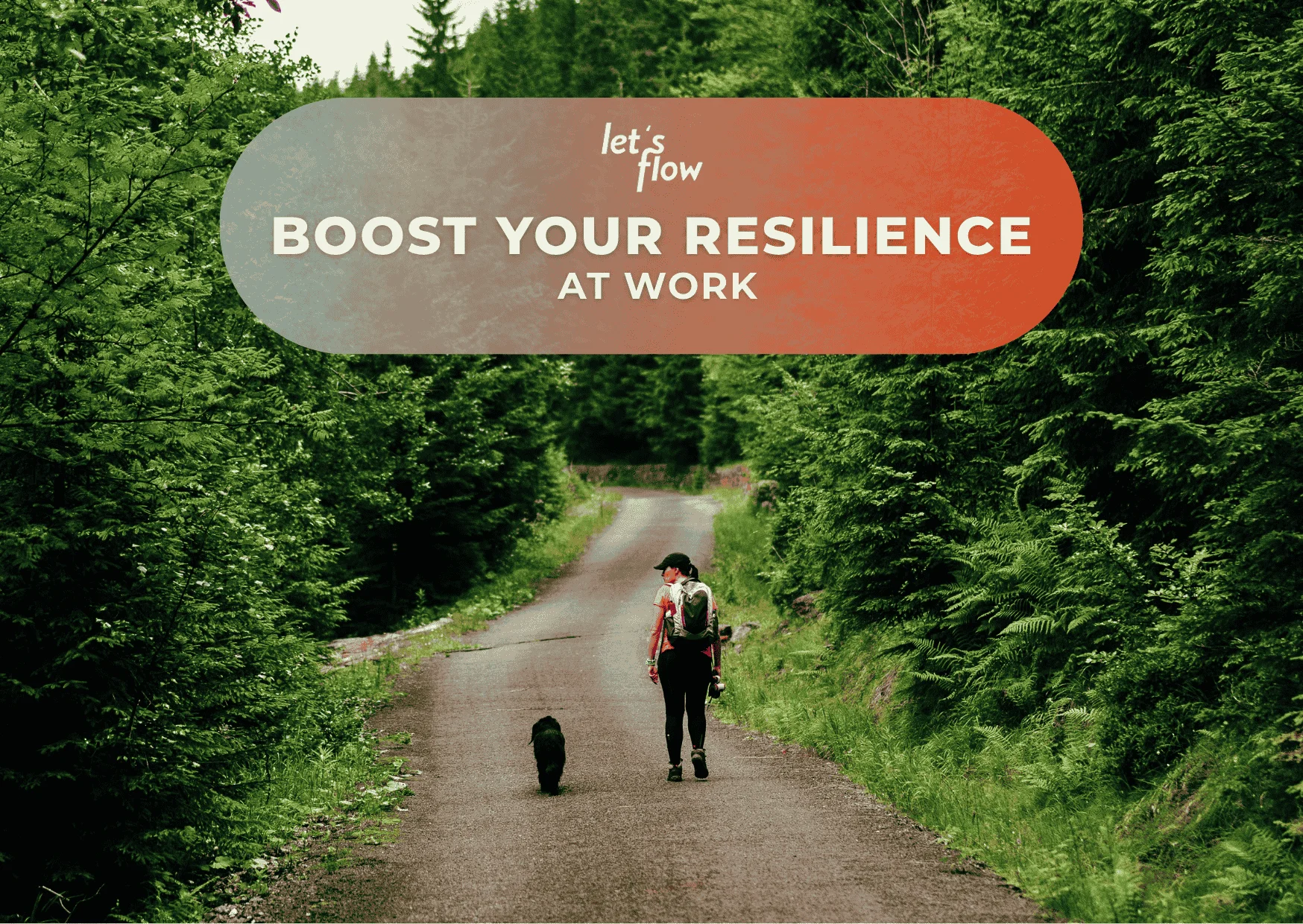 Wandern und Resilienz stärken in Bad Berleburg Bild 1