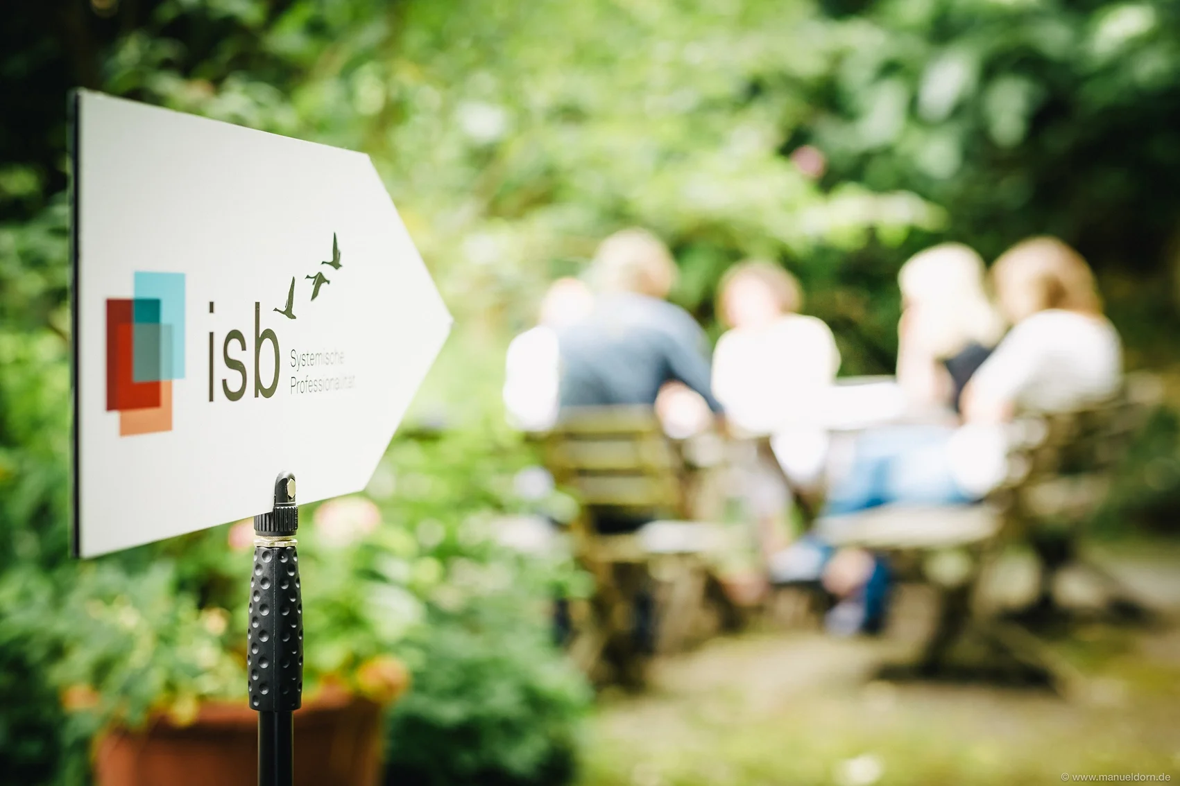 "Team Dynamics" – entdecke Deine Rolle in Teams Bild 1