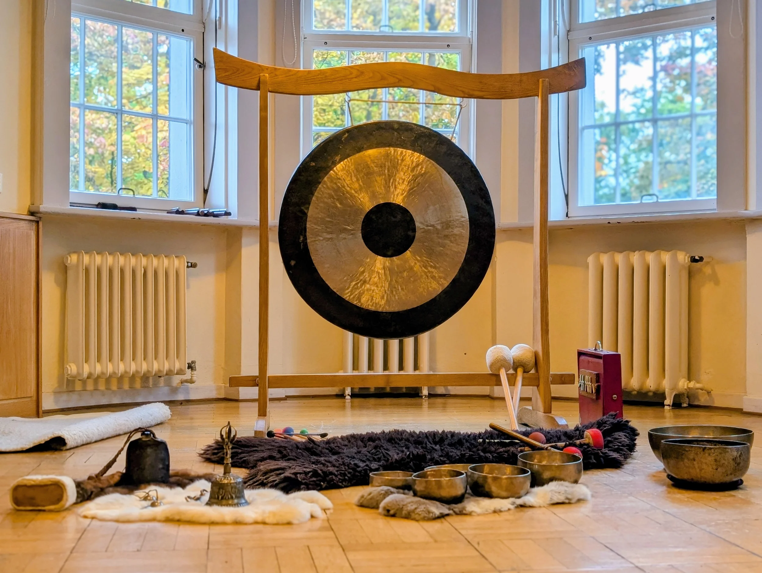  Durch die Kraft der Stimme: Gesundheit aktivieren, Kommunikation verbessern und Präsenz stärken Bild 1