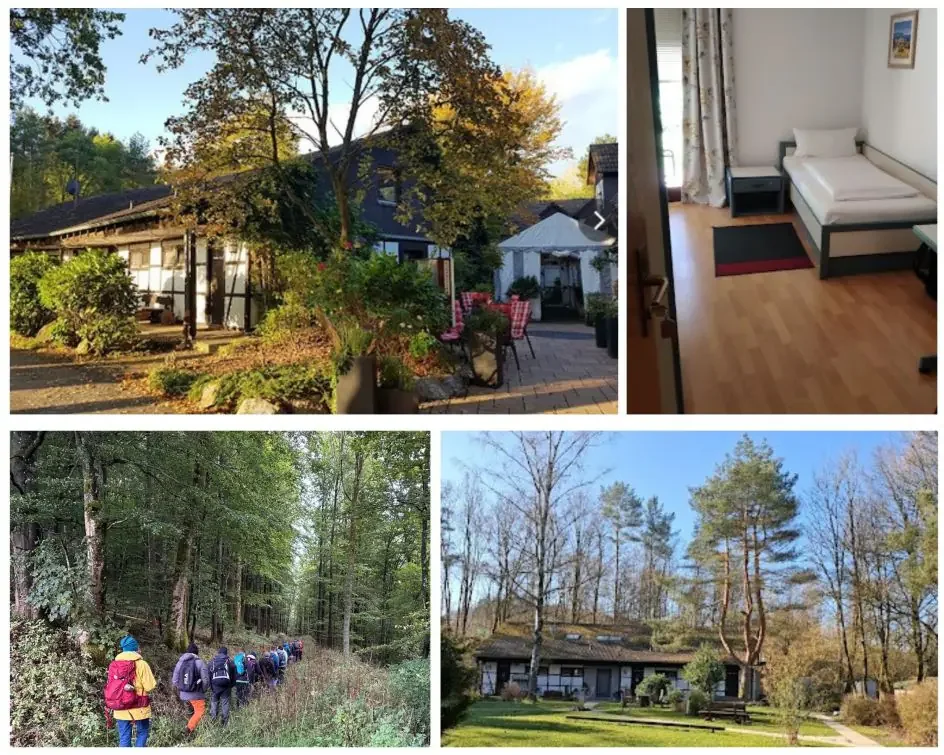 Kursleiter *in Shinrin Yoku – Waldbaden; Entspannungspädagogik in der Natur (Gruppen und Teams) in Grünberg Bild 1