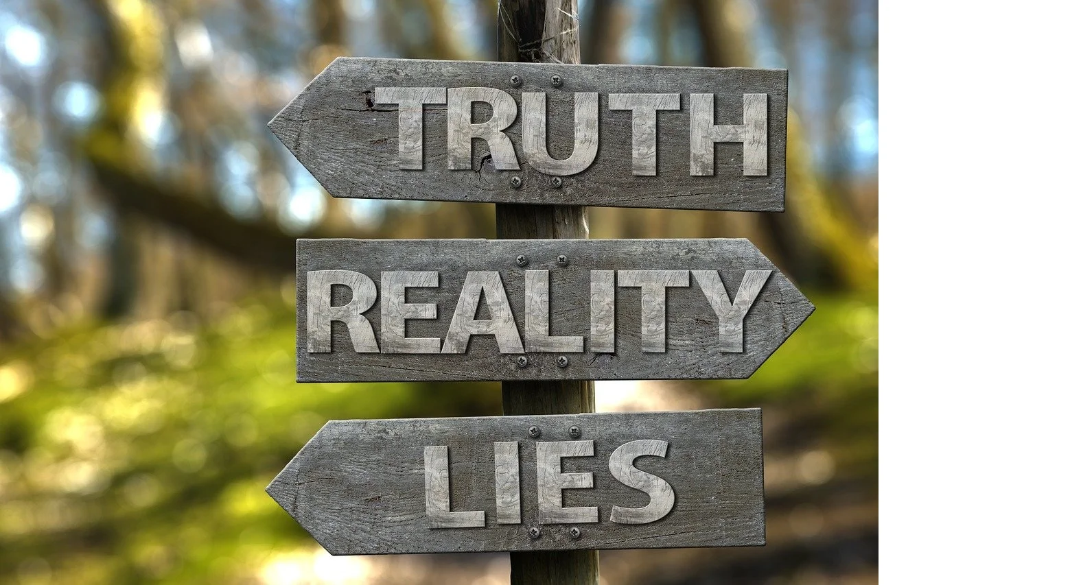 Lügen, Fakes, Verschwörungsmythen: Die Krise der Wahrheit - philosophisch betrachtet Bild 1