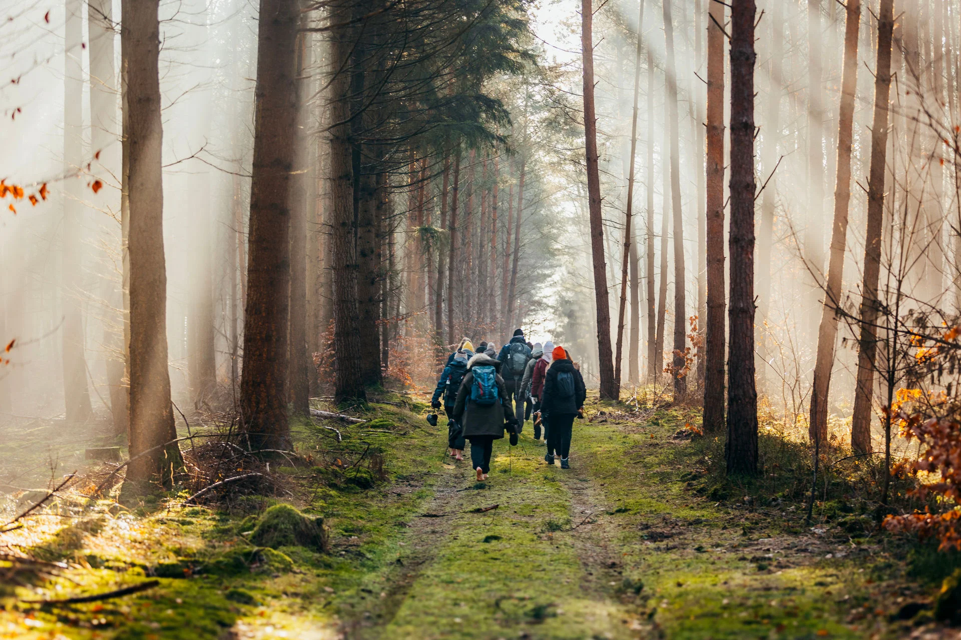 Behmfasten & Yoga – resilient und leistungsfähig durch Waldprävention, Bewegung, Ernährung & Fasten Bild 1