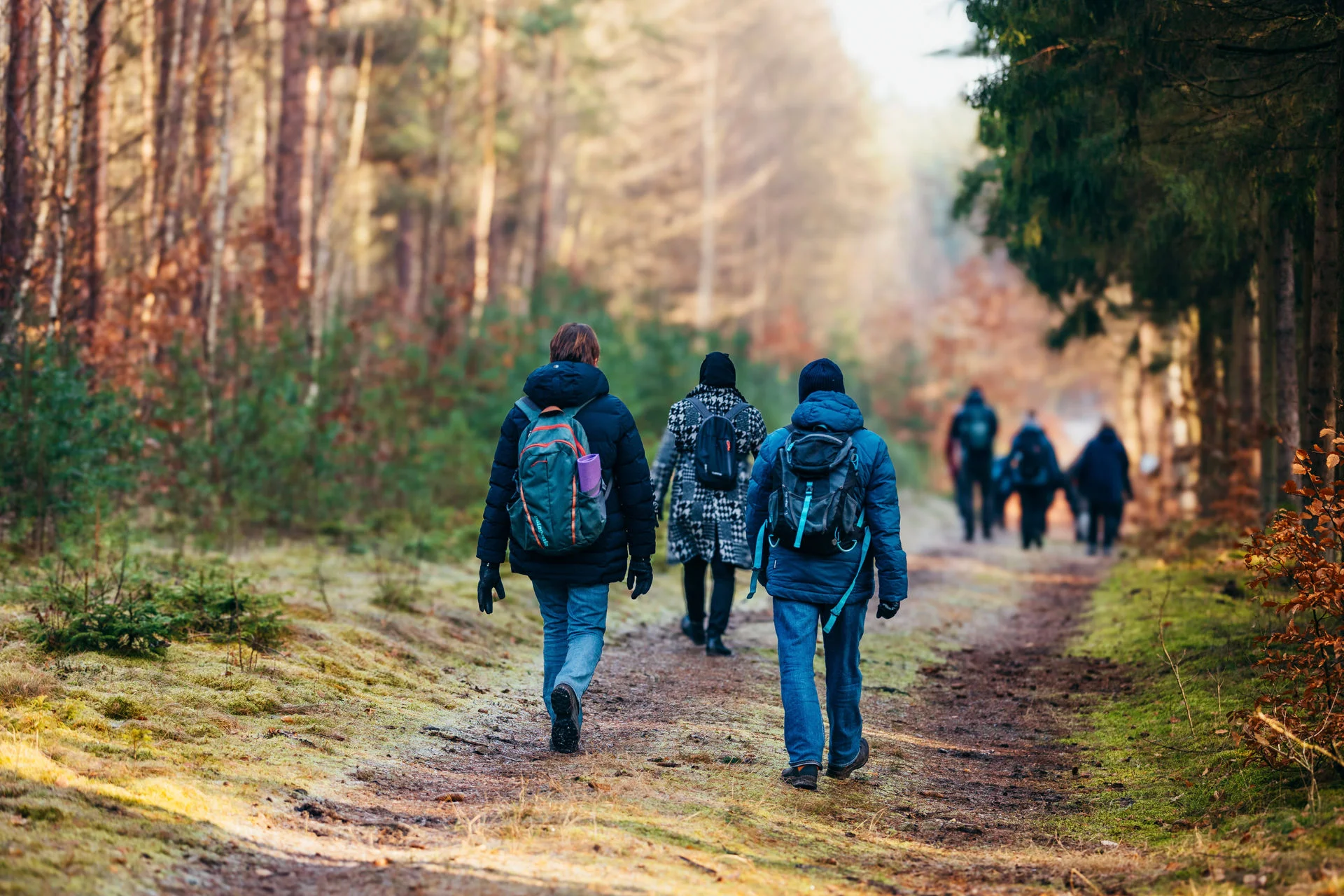 Basen-Intervallfasten & Feldenkrais – resilient und leistungsfähig durch Bewegung, Waldprävention, Ernährung & Fasten Bild 2