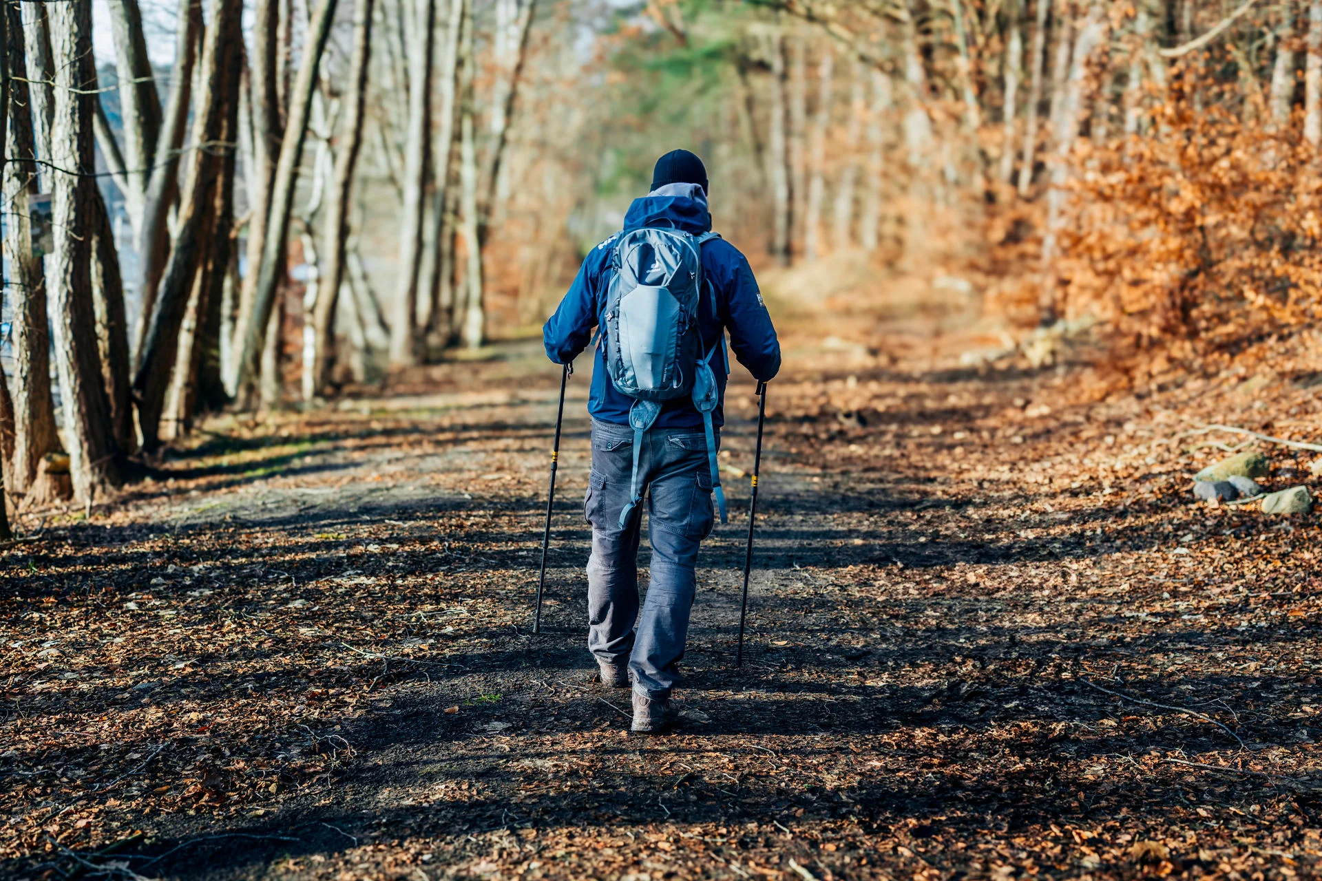 Buchingerfasten & Achtsamkeit (mit Stille) – resilient und leistungsfähig durch Bewegung, Waldprävention, Ernährung & Fasten Bild 2