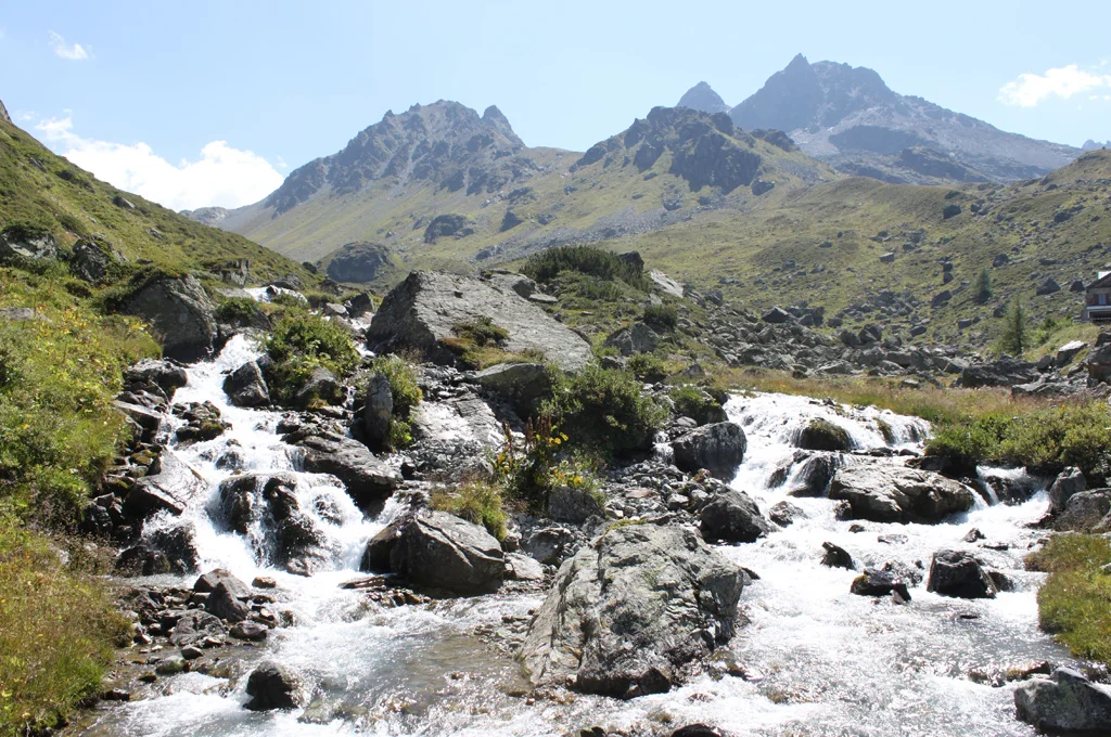 Die Alpen – Besonderheiten eines Lebensraumes Bild 1