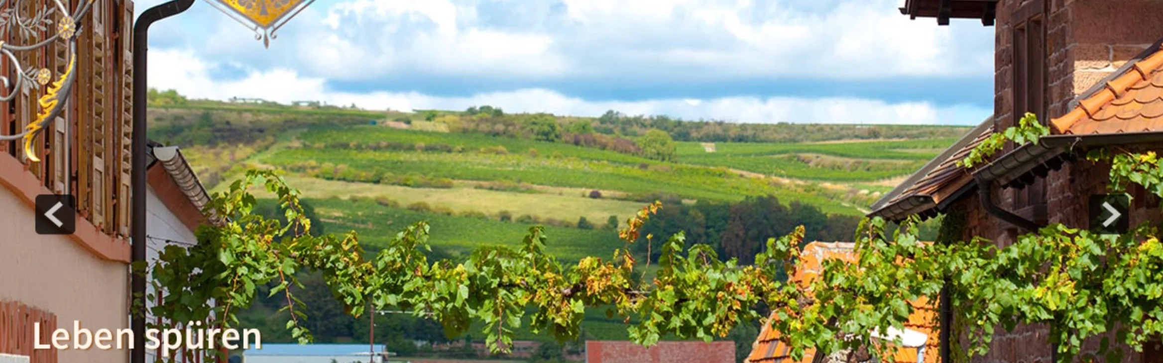 Work-Life-Design in der mediterranen Pfalz Anfang Oktober Bild 1