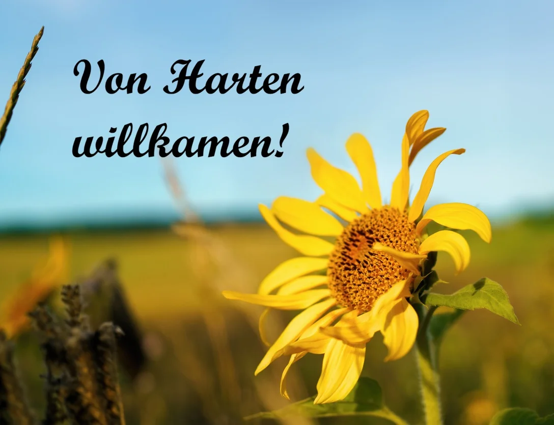 Platt - Land - Leven. Plattdeutsch im Alltag und Beruf Bild 1