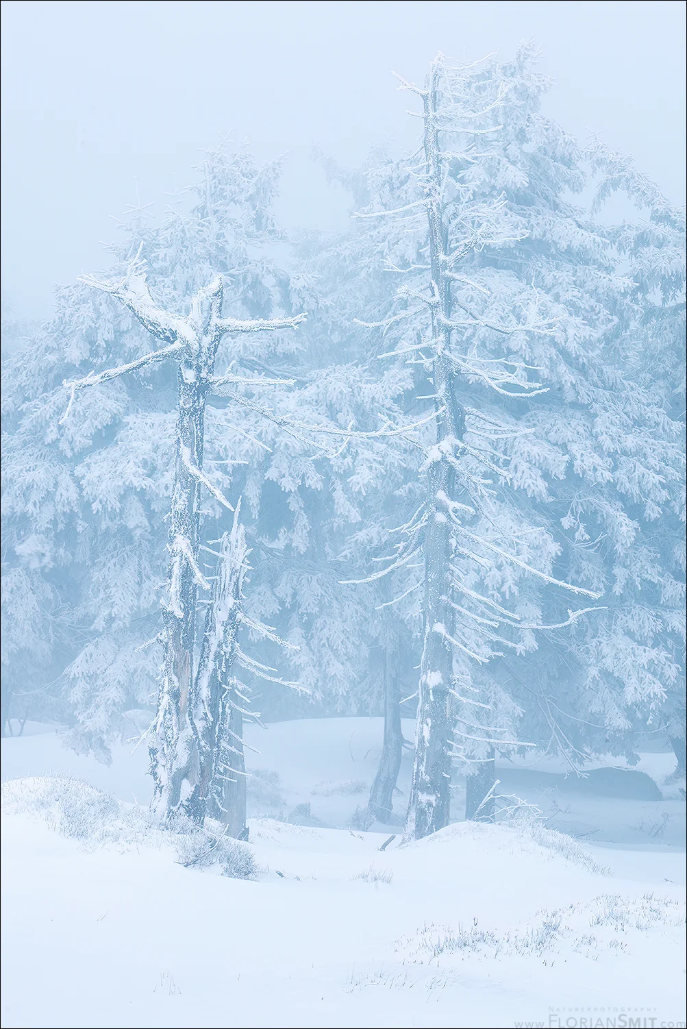 Grundlagen der Naturfotografie – sicher fotografieren, kreativ gestalten, fotografischen Blick erweitern Bild 2