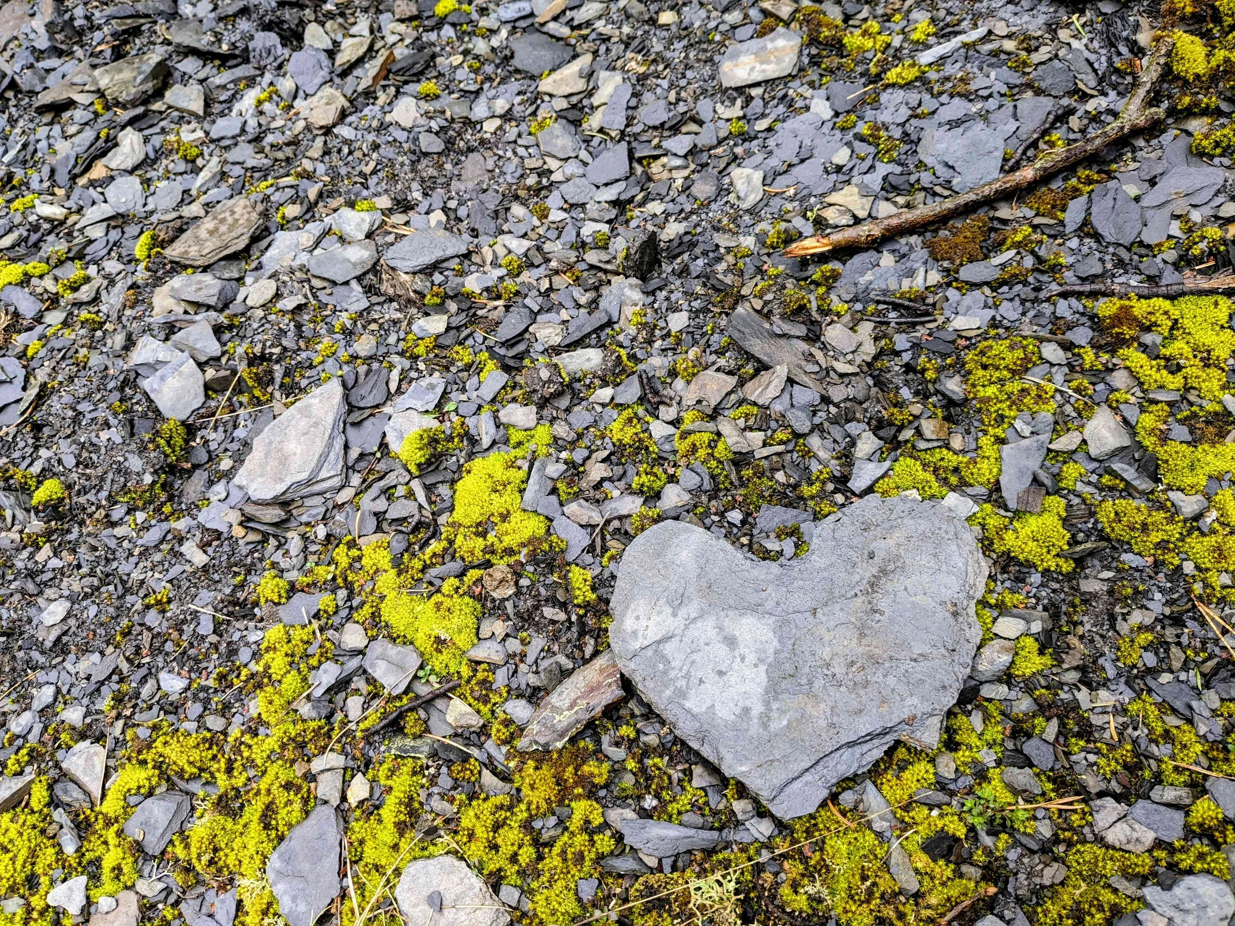 Gesundheit und Resilienz stärken – Stressbewältigung durch Verzeihensarbeit Bild 1