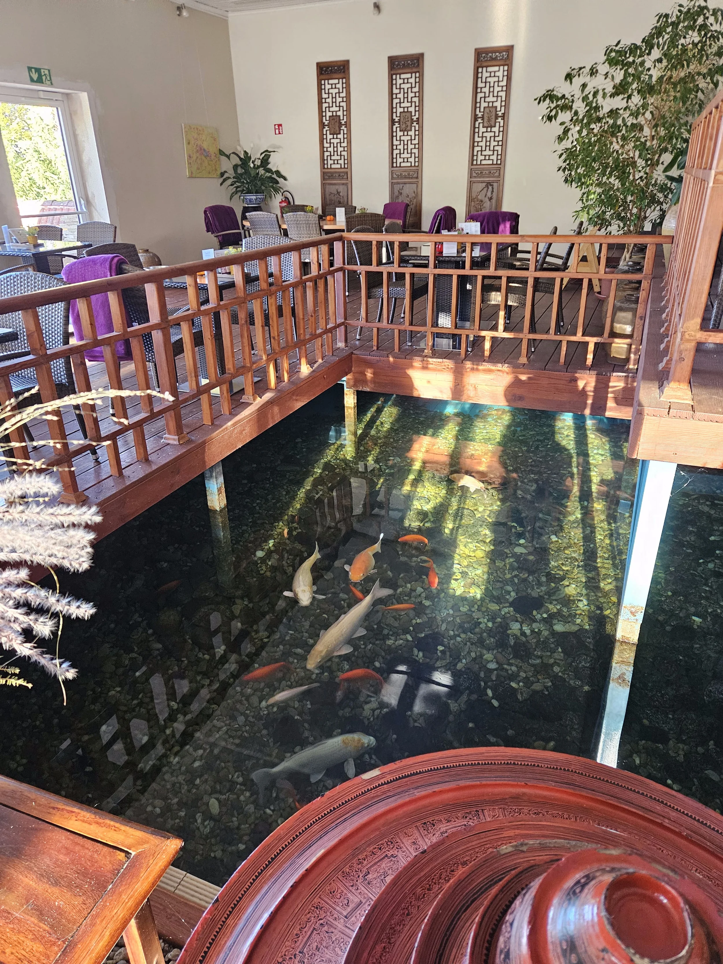 Mit Yoga und Darmgesundheit zu mehr Balance im Berufsleben Bild 1