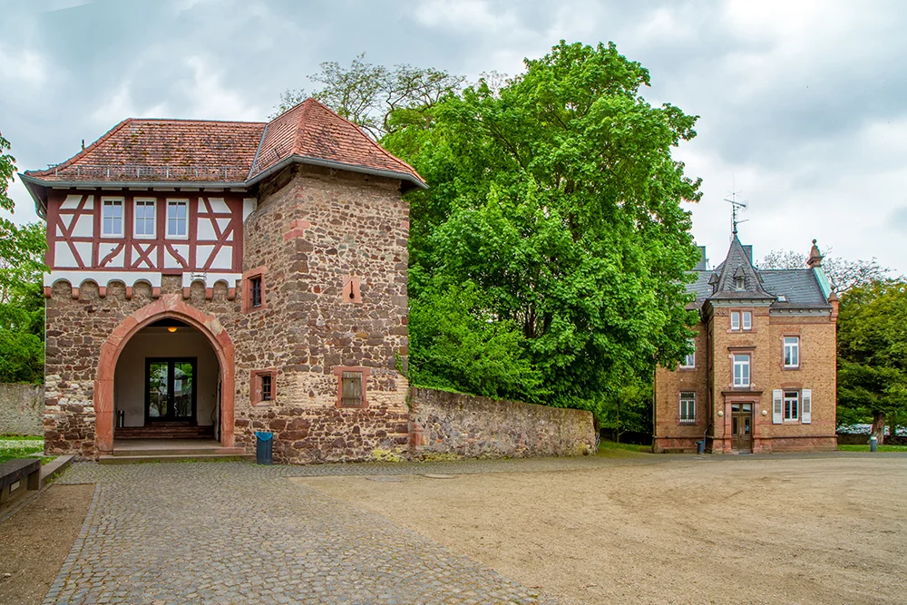 Aus eigener Kraft - resilient und achtsam leben. Zielgruppe 50+ Bild 1