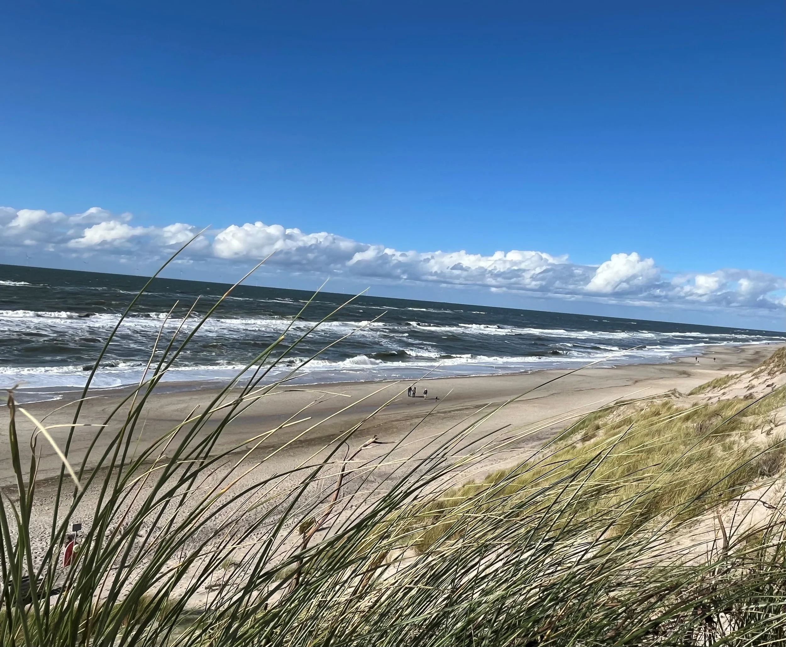 Hatha Medical Yoga für Stabilität, Kraft und mentale Resilienz in Beruf und Alltag Bild 1