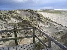 Qigong an der Ostsee: Stress vorbeugen- Innere Ressourcen für Beruf und Alltag aufbauen (ZRM<sup>&reg;</sup>)  Bild 1