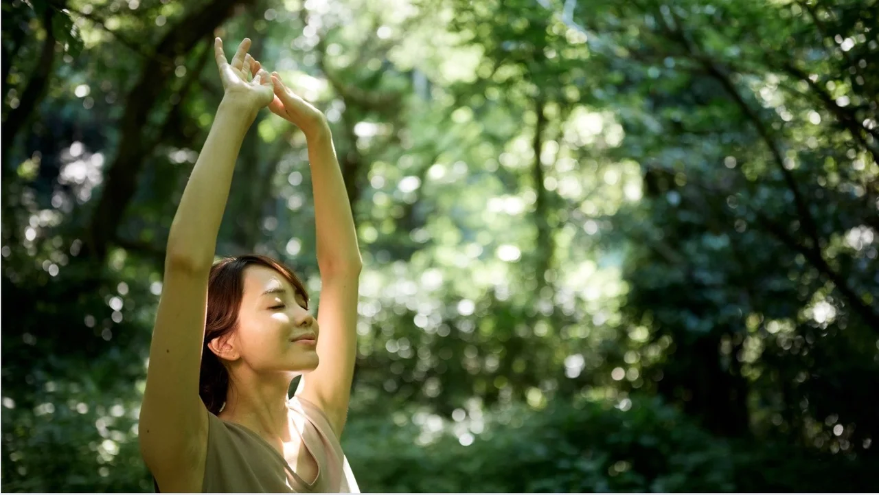 Yoga, Achtsamkeit & Natur - Resilienz stärken für den (Berufs-)Alltag im Kloster Steinfeld Bild 1