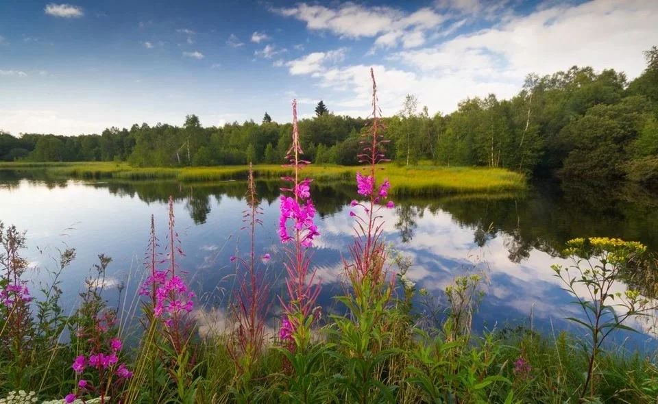 Kommunikation, Yoga & Achtsamkeit mit Wellness in der Rhön Bild 2