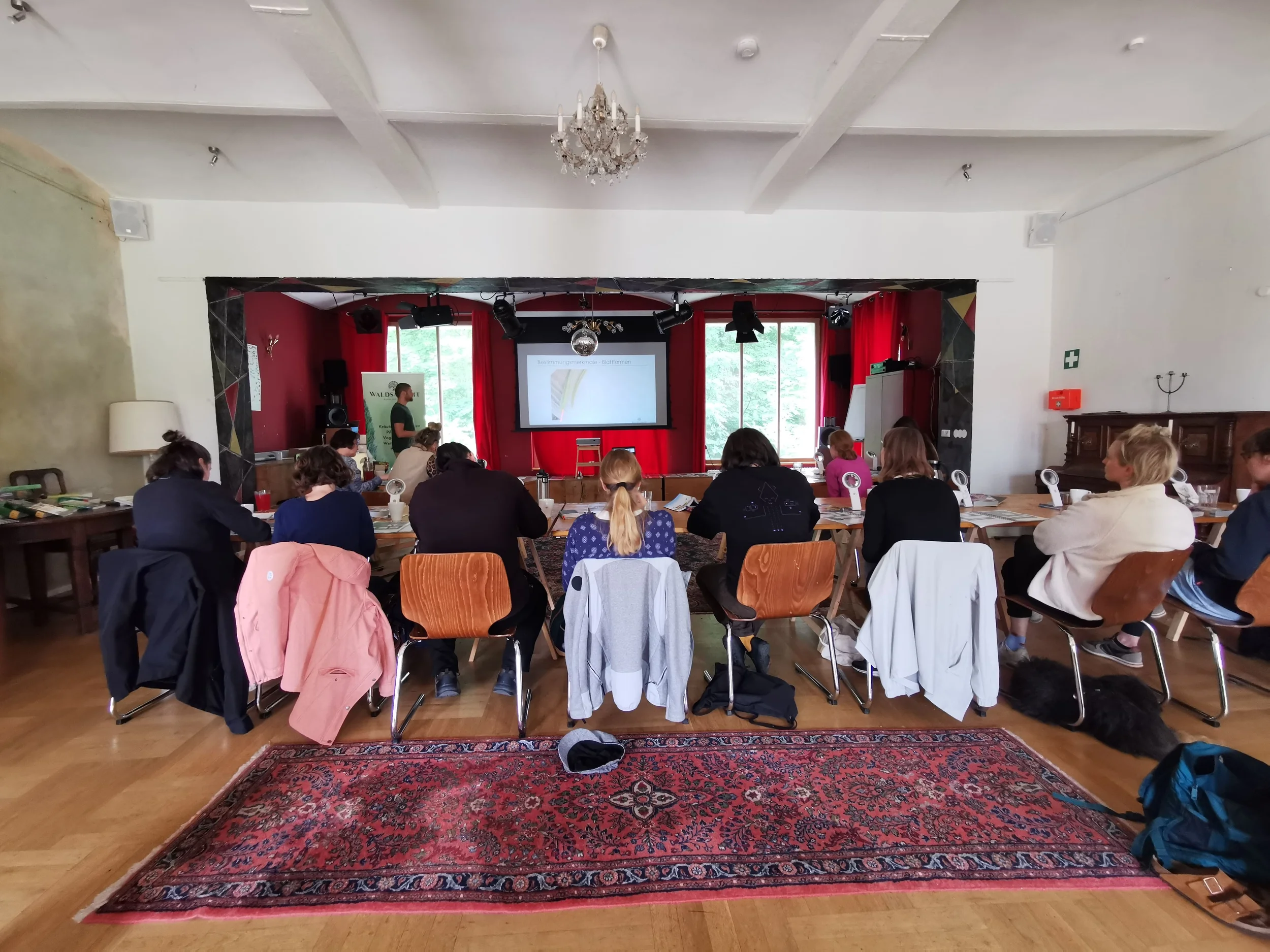 Wildkräuter für Einsteiger Bild 2