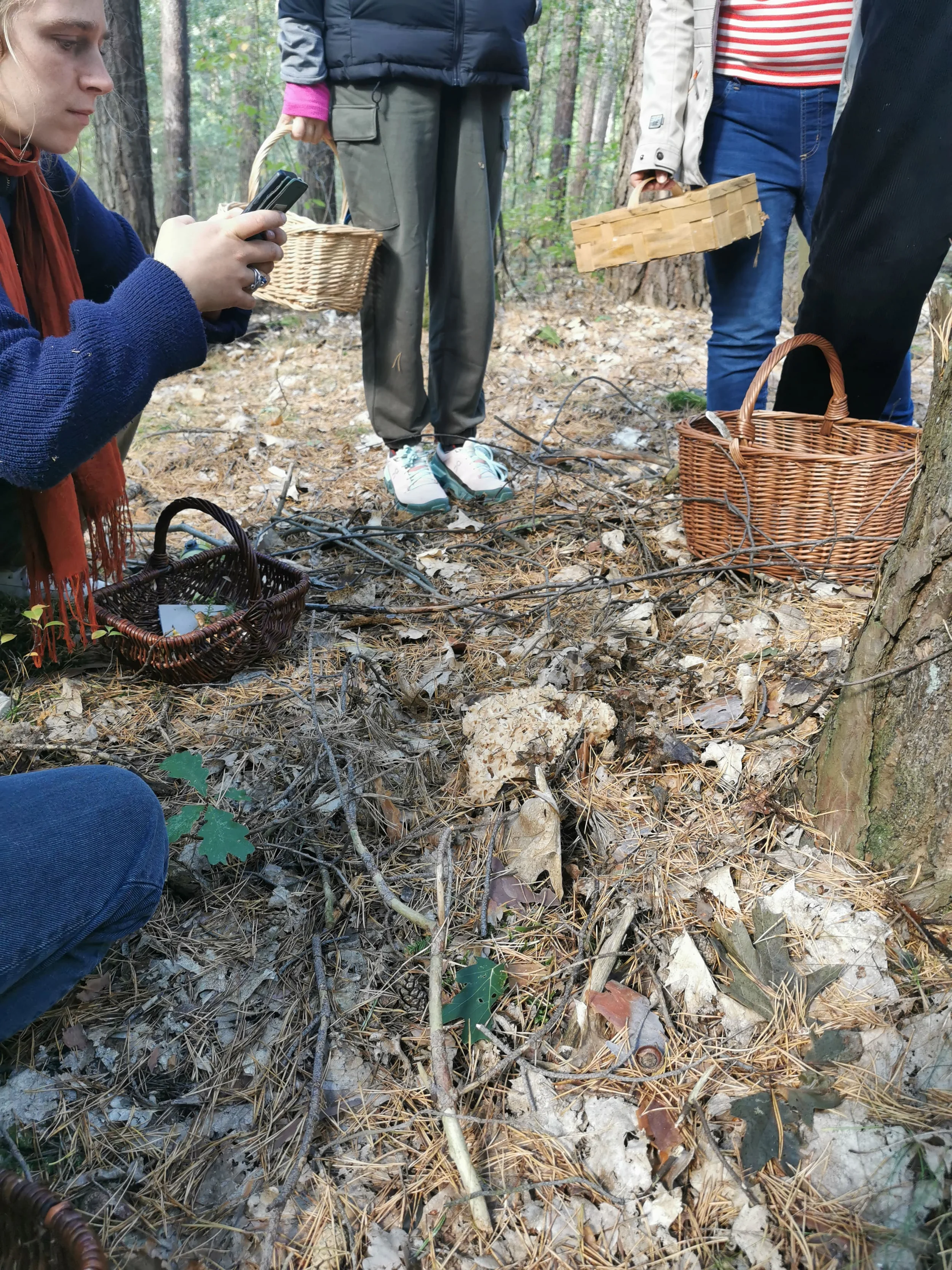 Pilze für Fortgeschrittene Bild 2