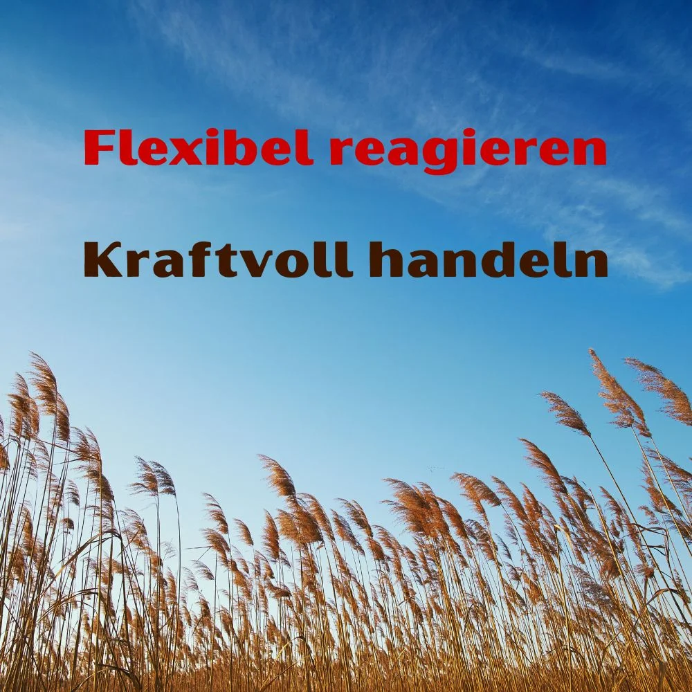 Flexibel reagieren – kraftvoll handeln Stressresilienz und Gelassenheit für Berufsalltag und gesellschaftliches Leben Bild 1
