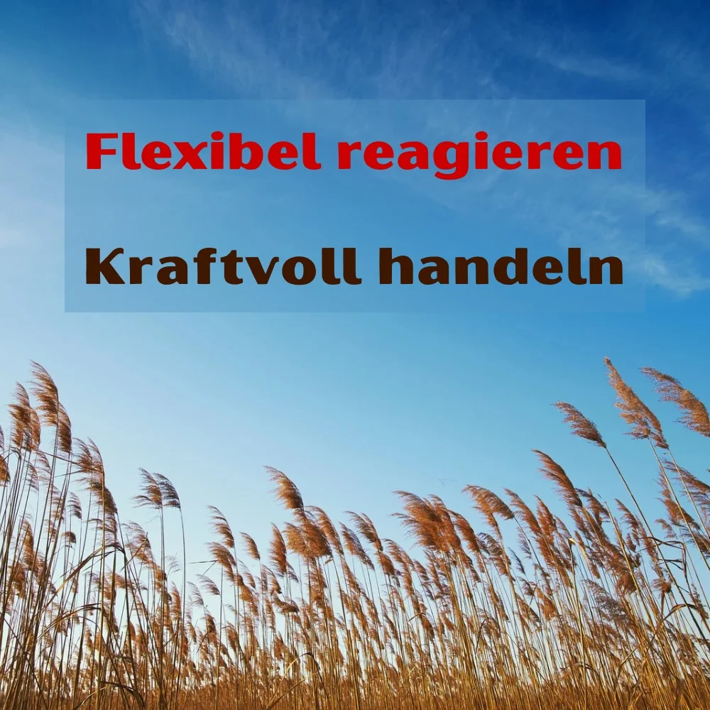 Flexibel reagieren – kraftvoll handeln Stressresilienz und Gelassenheit für Berufsalltag und gesellschaftliches Leben Bild 1