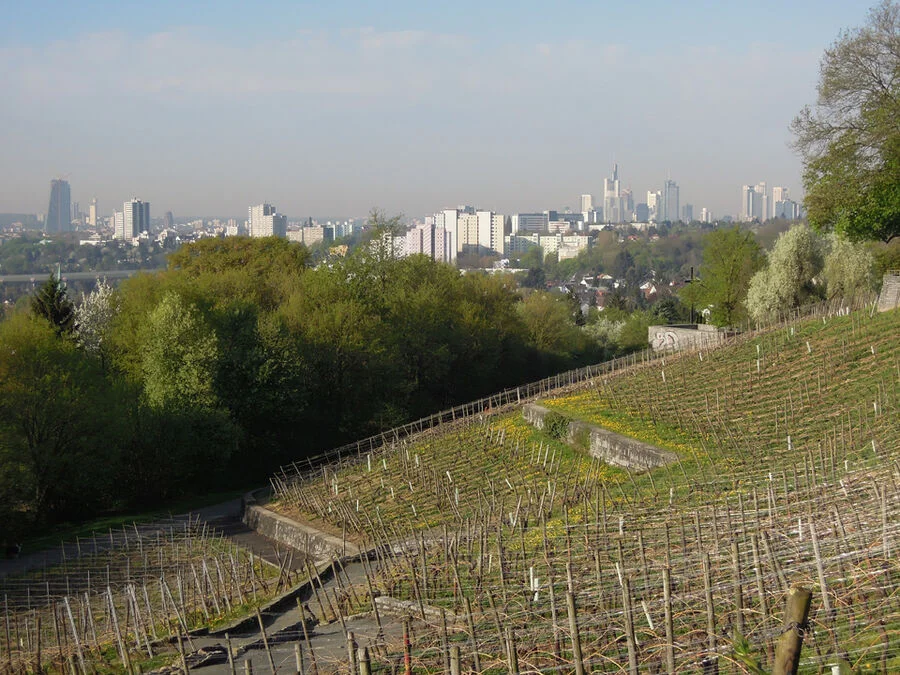 Klimawandel in der Großstadt – Wie reagiert Frankfurt auf die Herausforderungen? Bild 1