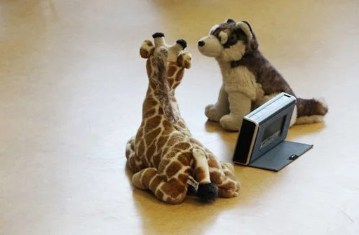 Einfühlsam mit sich und anderen in der Kommunikation  Bild 1