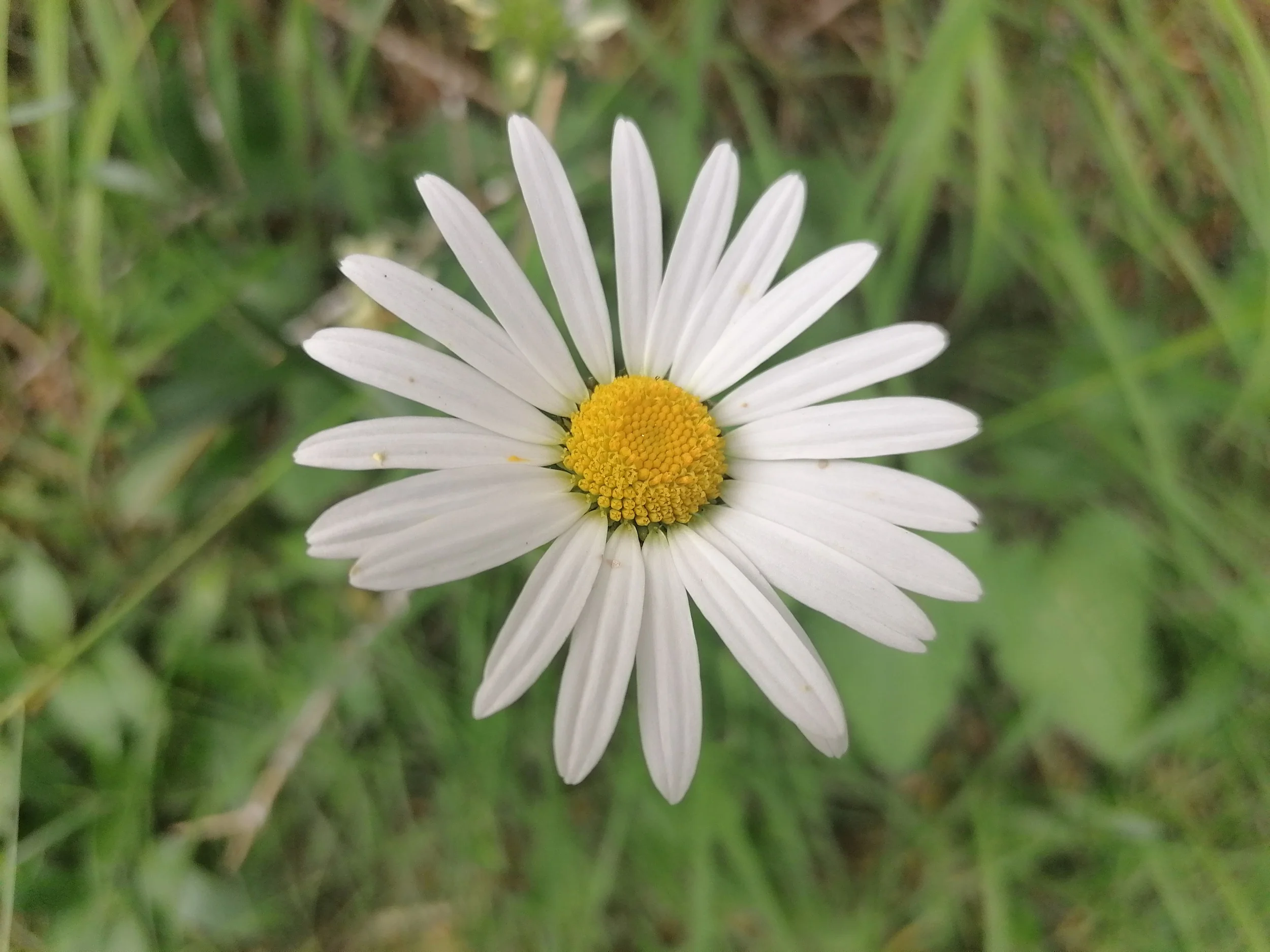 Resilienz stärken durch ein tieferes Körperbewusstsein - Yin Yoga, Atemtechniken und Meditation für Beruf und Alltag Bild 1