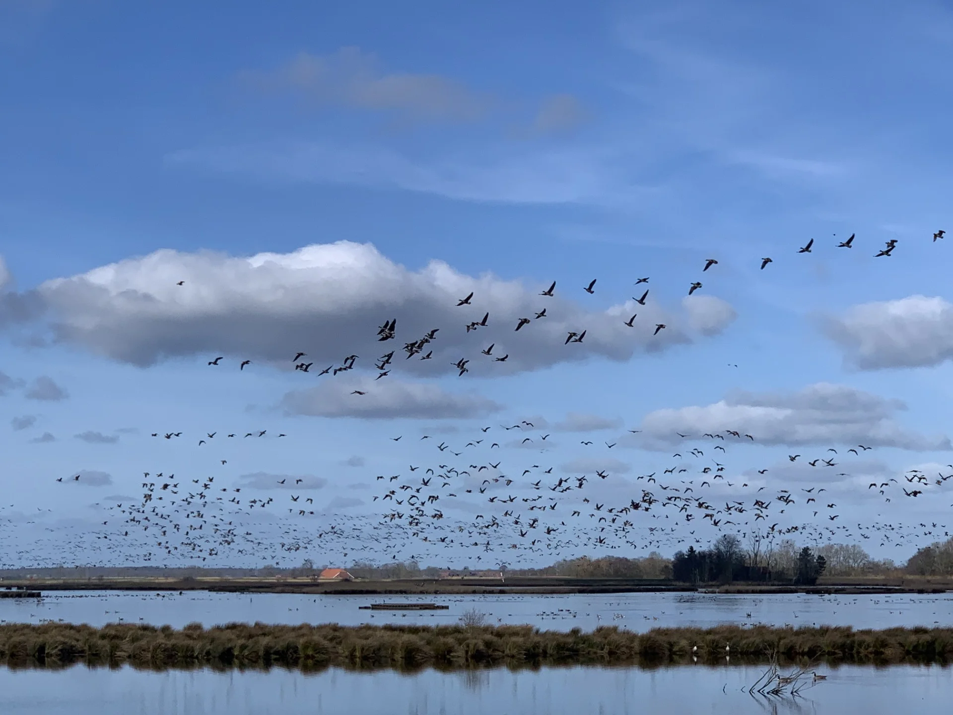  Birdwatching im Naturpark Wattenmeer Bild 2
