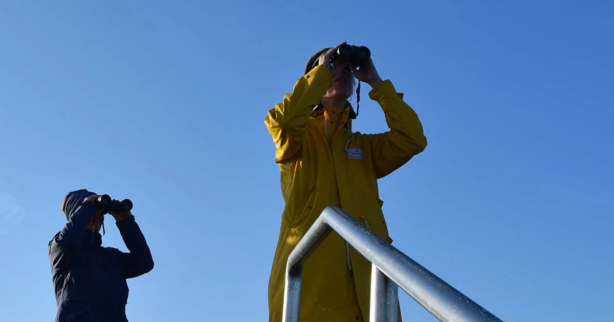  Birdwatching im Naturpark Wattenmeer Bild 1