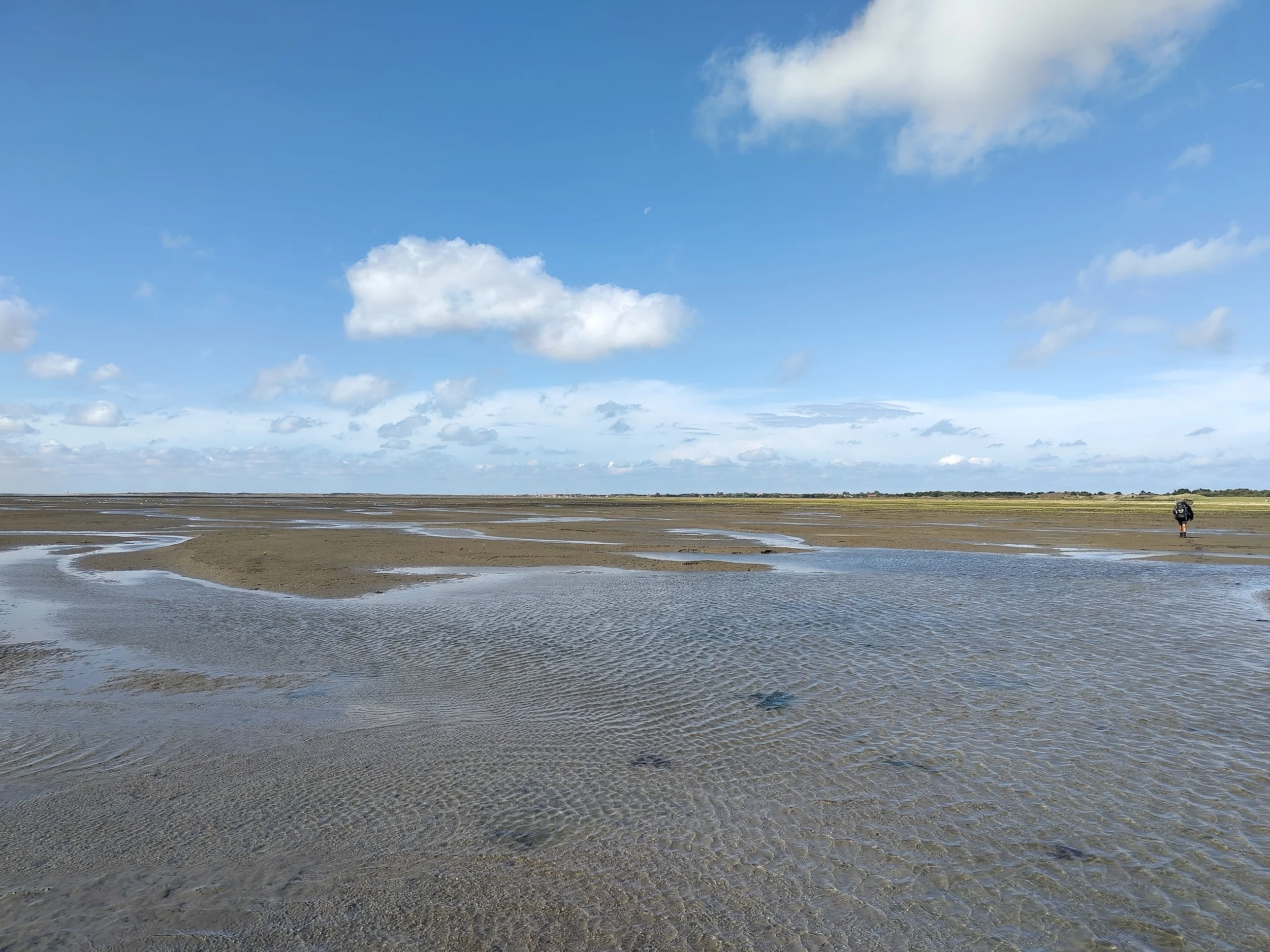Von Weltnaturerbe bis Weltkulturerbe - Bildung für nachhaltige Entwicklung zwischen Watt und Weser Bild 1