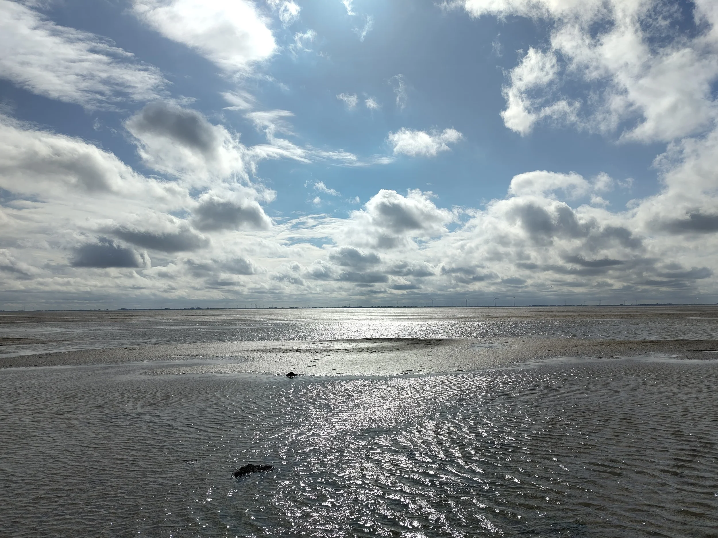Von Weltnaturerbe bis Weltkulturerbe - Bildung für nachhaltige Entwicklung zwischen Watt und Weser Bild 2