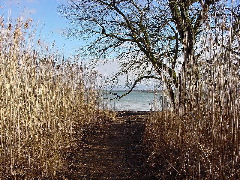 Der Bodensee – Modellregion für nachhaltige Entwicklung Bild 2