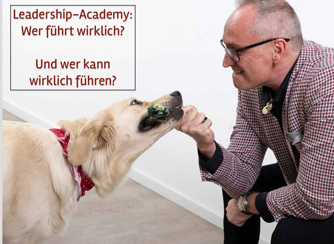Leadership-Academy: Werteorientierte Führungskräfte-Qualifizierung Chapter 01  Bild 1