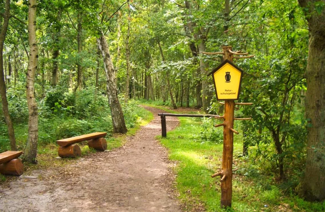 Ostsee Graal-Müritz: Fitbleiben im Beruf (und in der Rente) - Ernährung, Bewegung, Stressprävention und Yoga als Säulen deiner Gesundheit. Wandern am Strand im Goldenen Herbst Bild 1