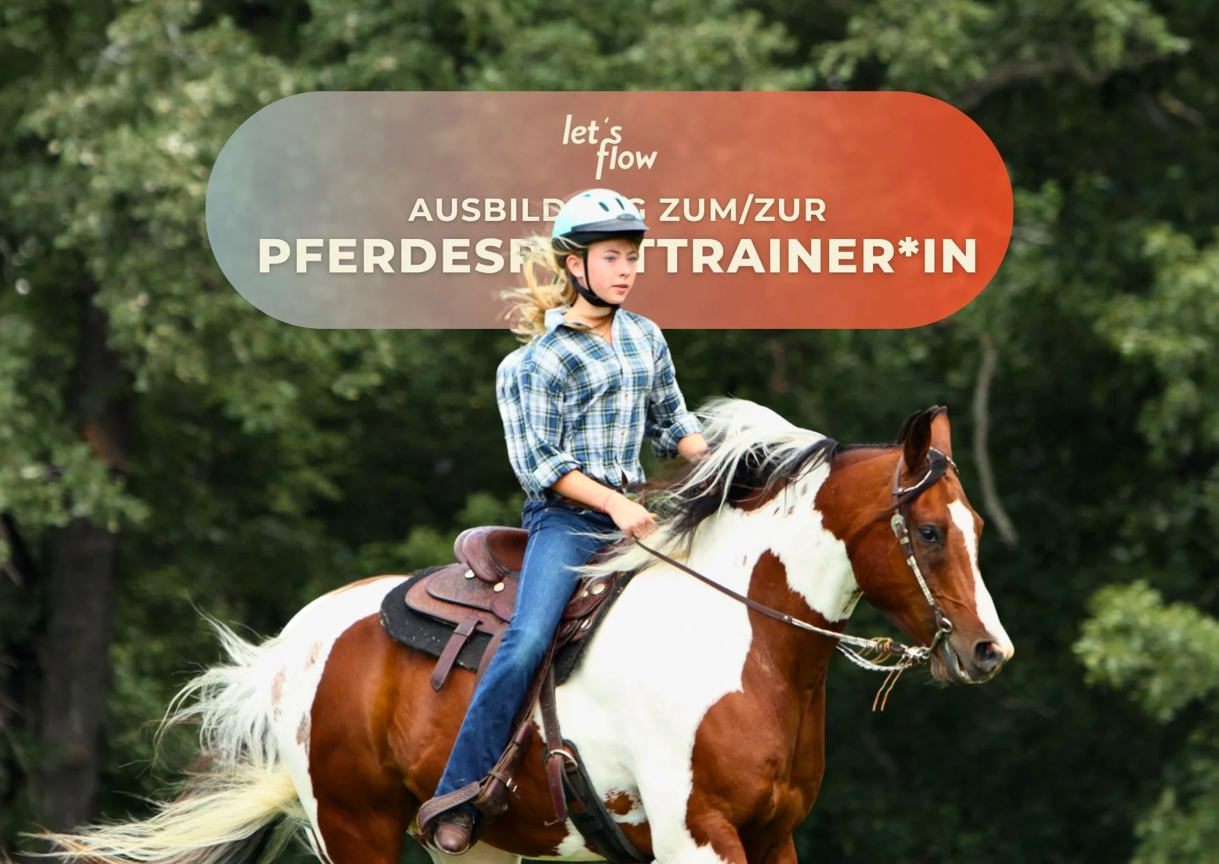 Vorbereitungskurs Pferdesporttrainer*in Bild 1