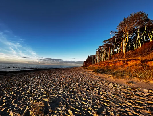 Dem November entfliehen: Fitbleiben im Beruf - Gesundheitskompetenz für erfahrene Berufstätige (und danach) durch Ernährung, Bewegung, Prävention und Yoga. Wandern an der Ostsee im Goldenen Herbst Bild 2