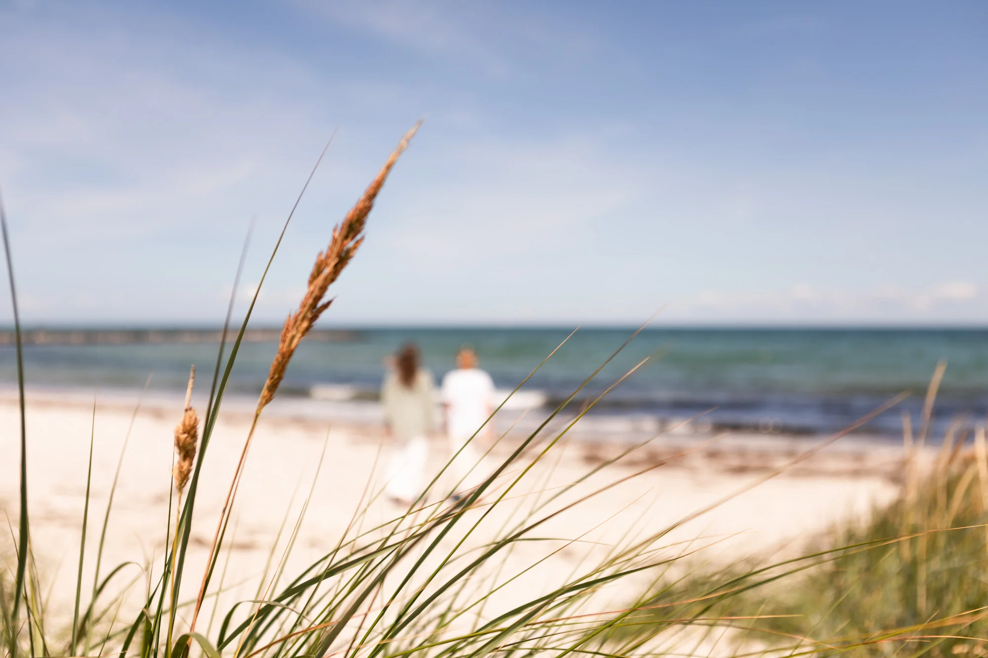 MBSR – Stressbewältigung durch Achtsamkeit: Resilienz und Selbstregulation stärken (Präsenz am Schönberger Strand) Bild 3