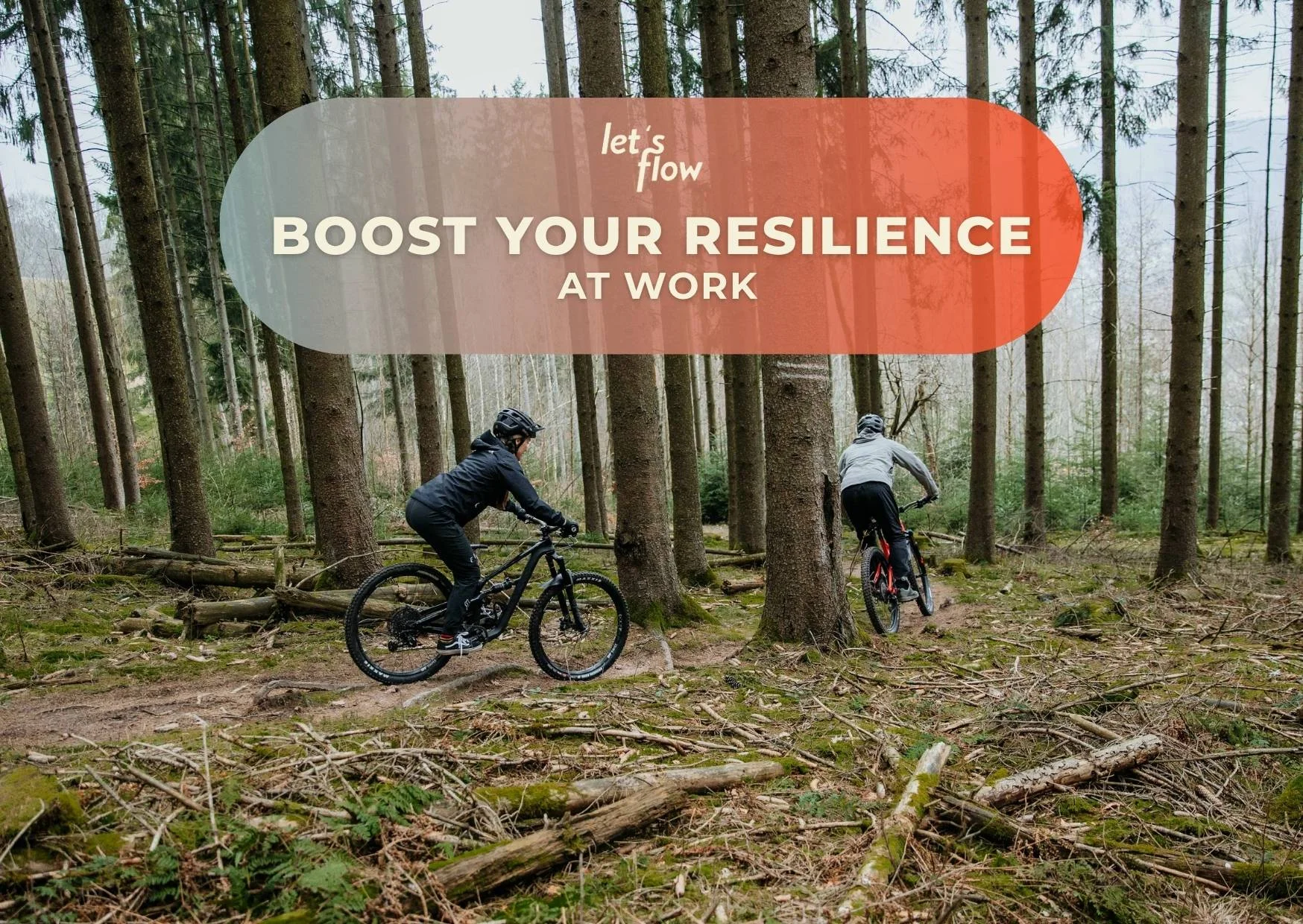 Mountainbiken und Resilienz stärken in Bad Orb Bild 1