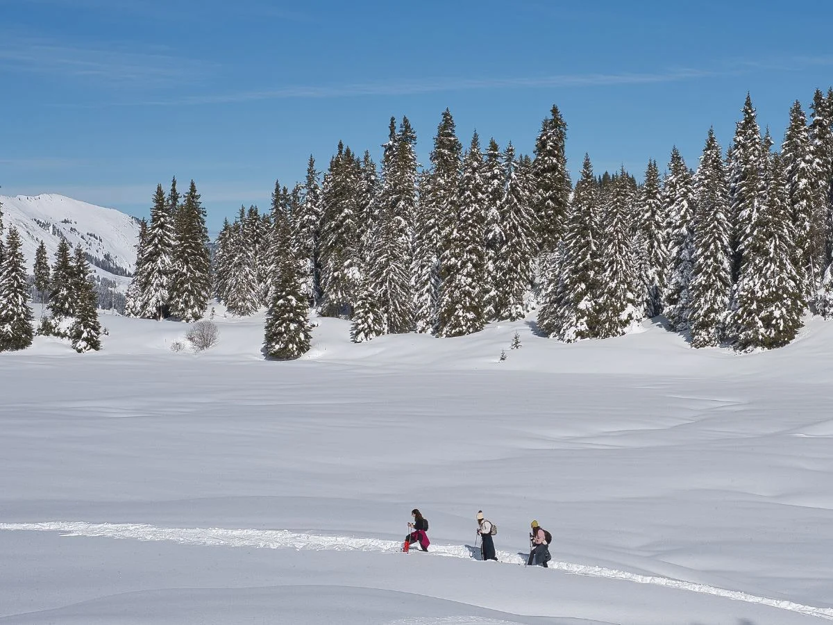 Bregenzerwald. Der Klimaschutz in den Allgäuer Alpen mit Impulsen zum nachhaltigen Leben. Bild 2