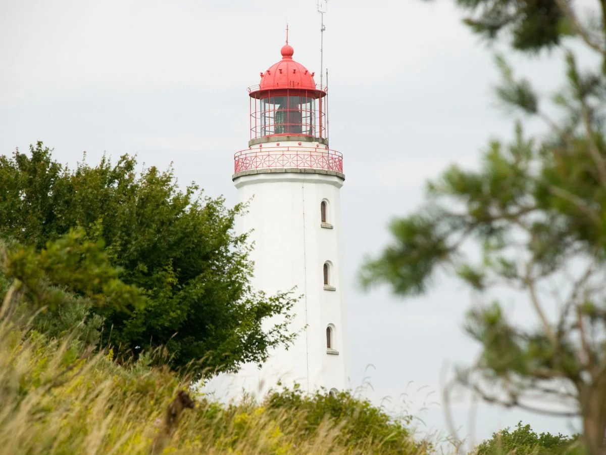 Hiddensee. Tourismus und Umweltschutz - Konflikt auf der Ostseeinsel? Bild 1