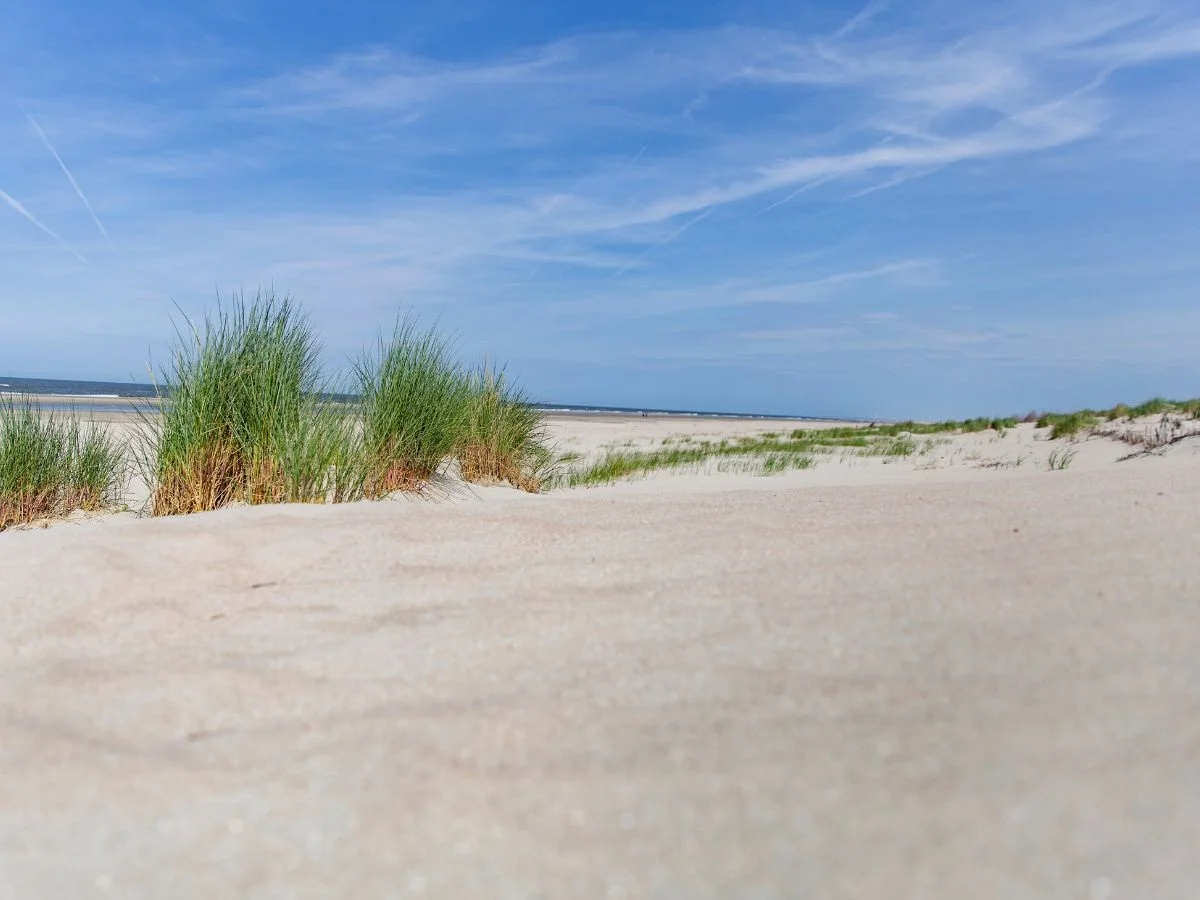 Norderney. Höher, wärmer, saurer - Leben an der Küste in Zeiten des Klimawandels. Bild 1