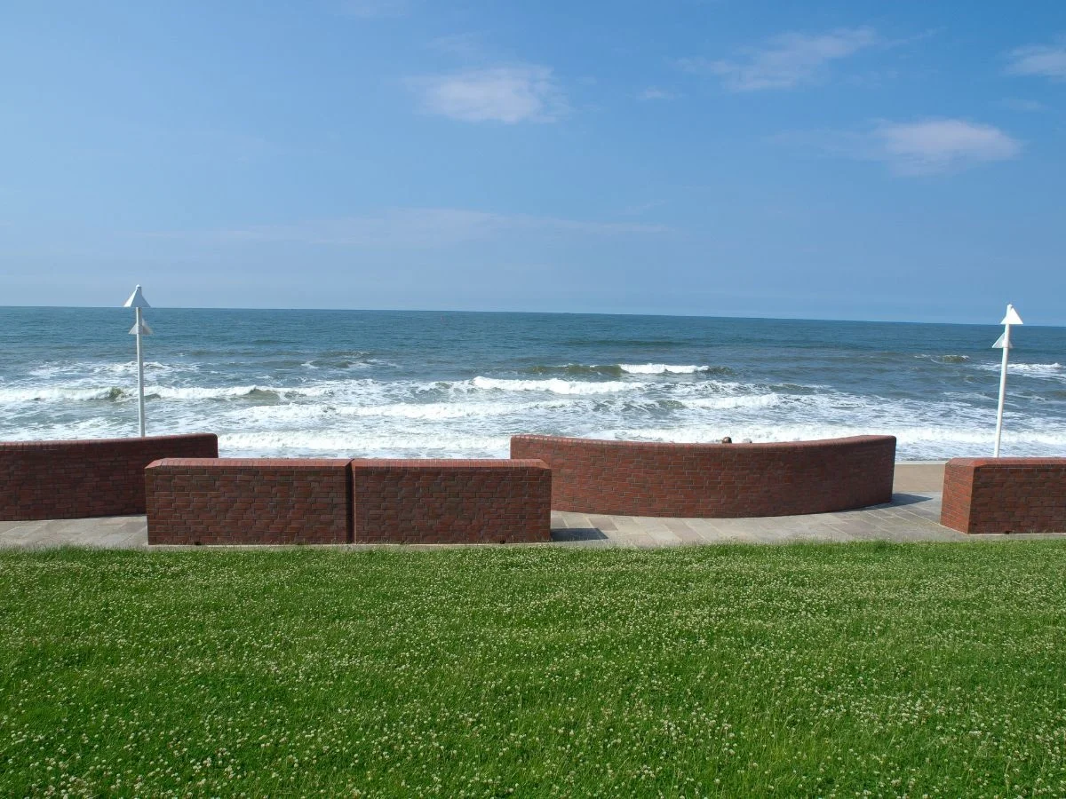 Norderney. Höher, wärmer, saurer - Leben an der Küste in Zeiten des Klimawandels. Bild 2