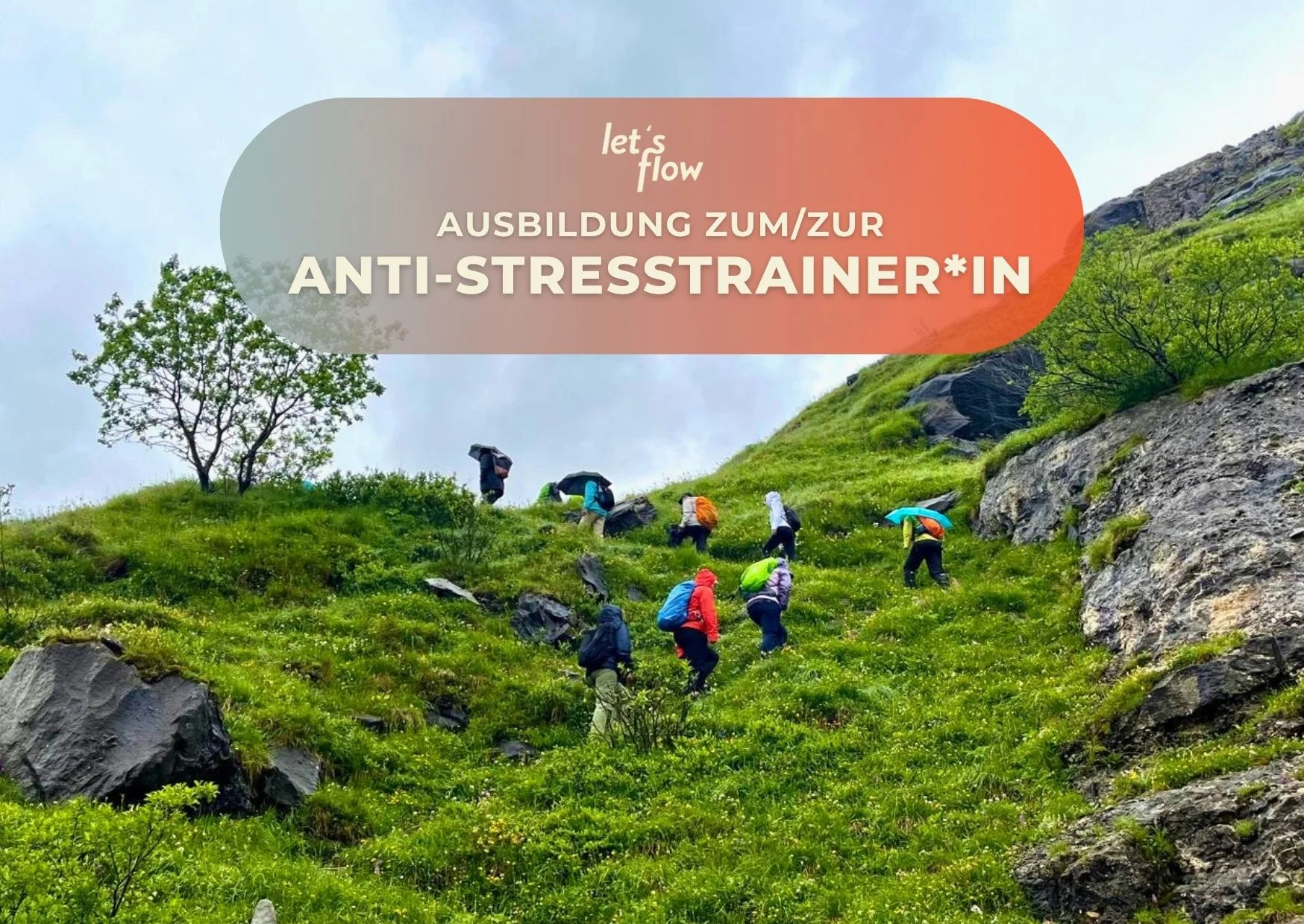 Wandern und Antistresstrainer*in werden im Allgäu Bild 1