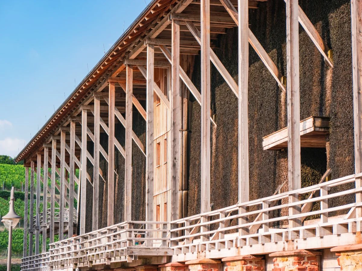 Vorderpfalz. Das Pfälzer Image im neuen Licht? Entwicklung der Markenvielfalt durch Pfälzische Mentalität, Wirtschaft, Naturschutz und Tourismus. Bild 2