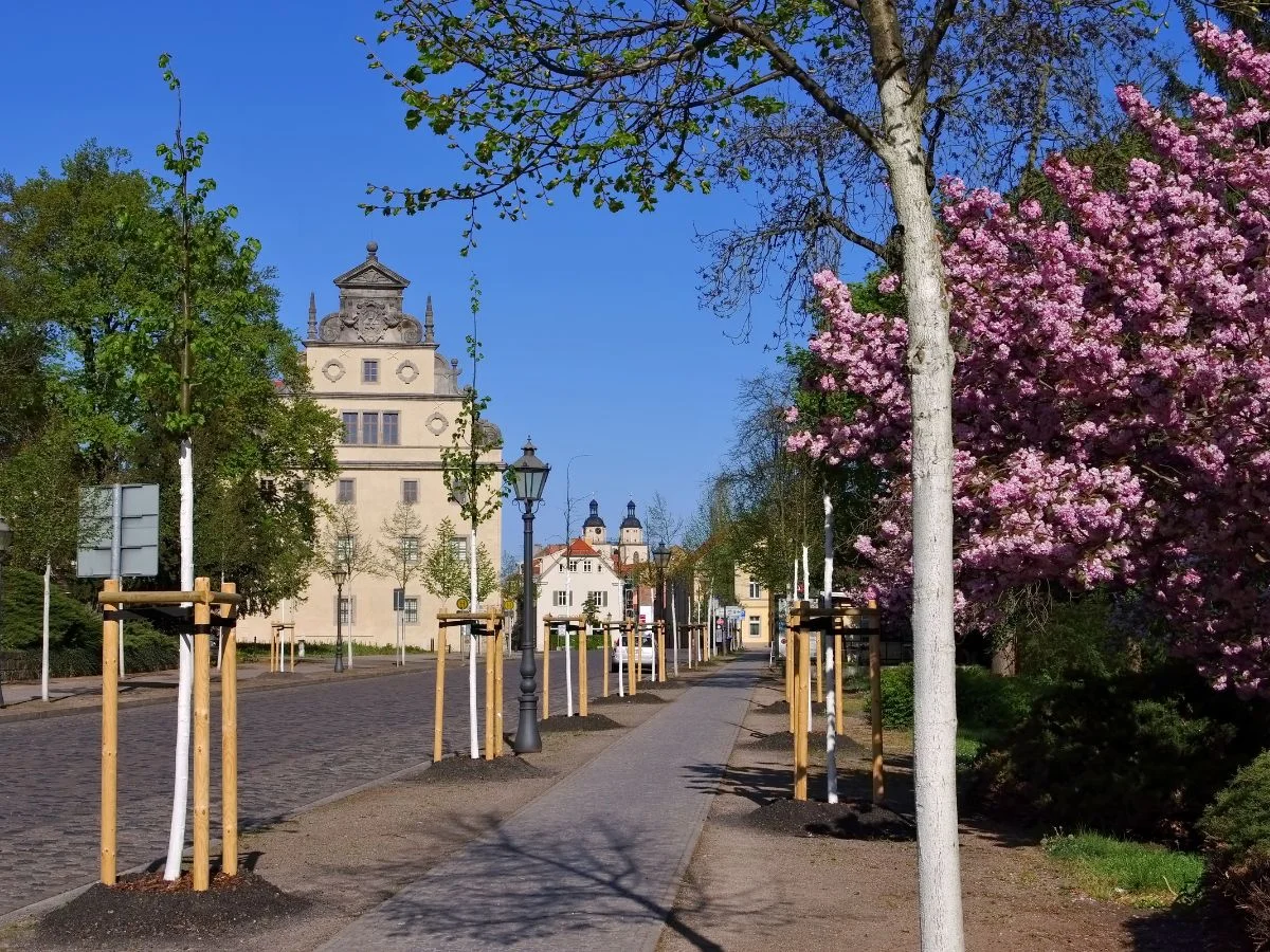 Wittenberg. Religion zwischen Kunst und Politik - Strukturwandel in der Lutherstadt politisch-kreativ. Bild 1